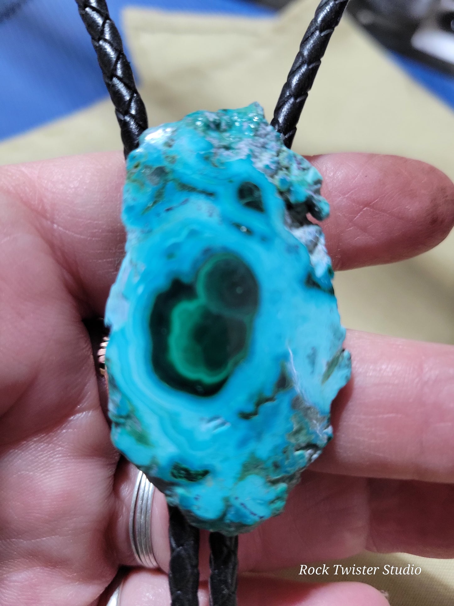 Malacholla Bolo Tie